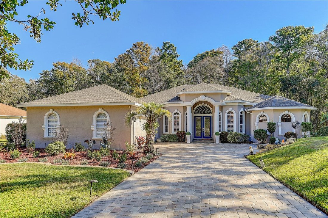House in Spring Hill, Florida, United States 3 - 18155321