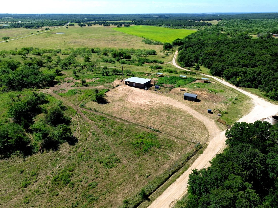 Farm Ranch in Chico, Texas, United States 3 - 18157464
