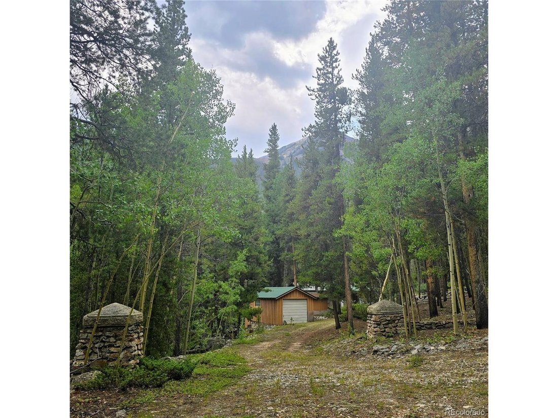 House in Buena Vista, Colorado, United States 5 - 18154268