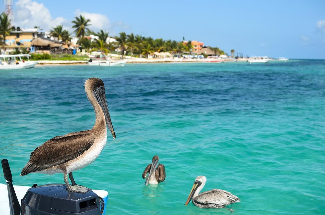 Apartment in Puerto Morelos, Quintana Roo, Mexico 5 - 18166062