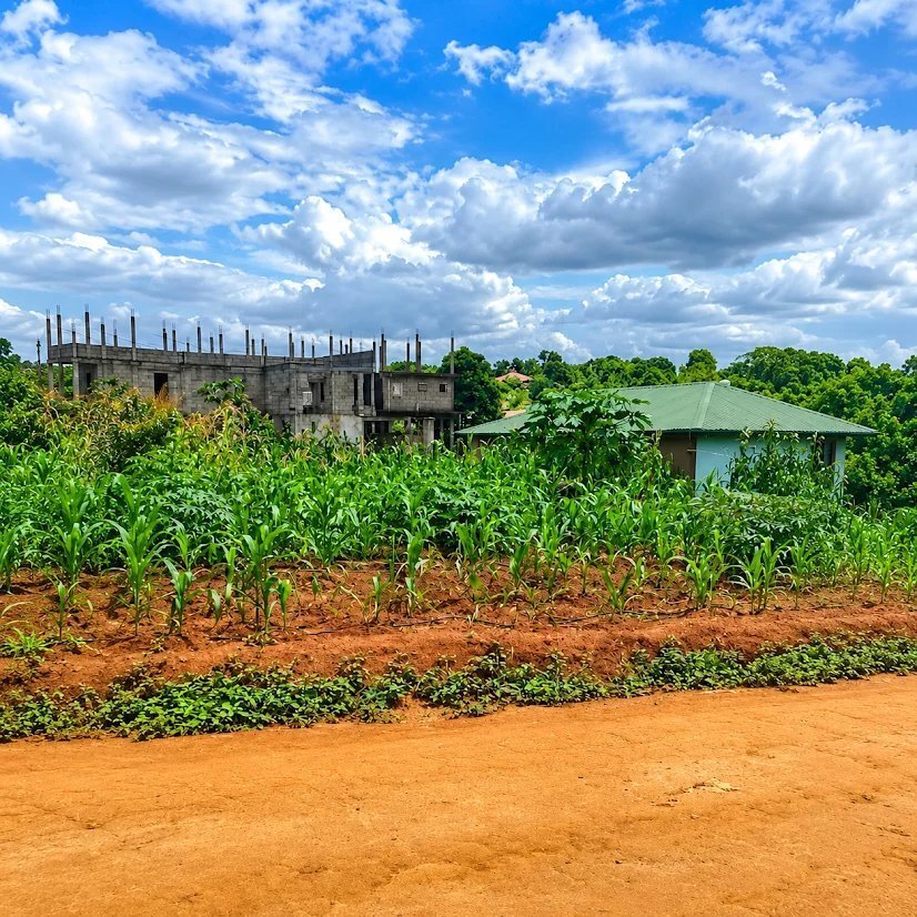 Land in Soa, Centre Region, Cameroon 5 - 18171158