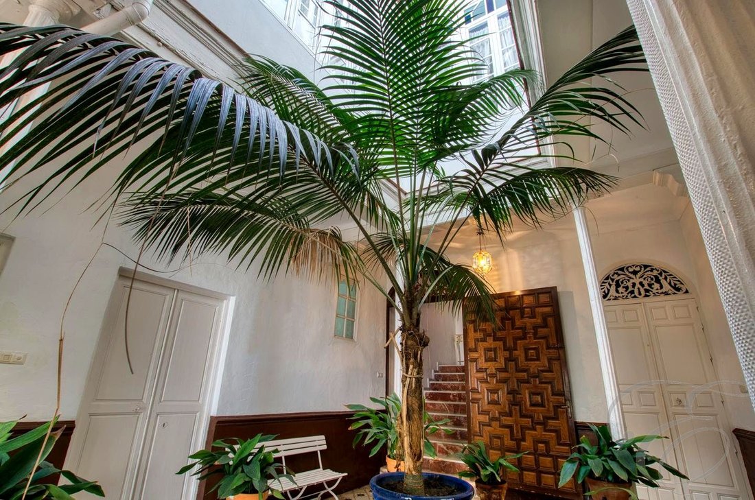 House in Velez-Malaga, Andalusia, Spain 3 - 18155655