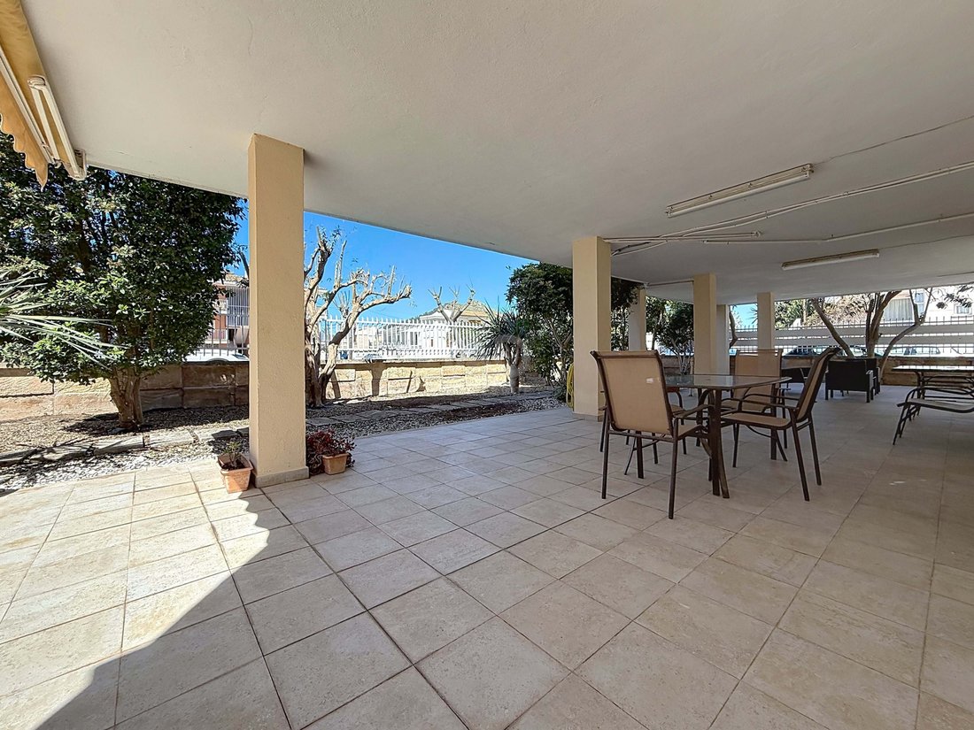 Townhouse in Alcudia, Balearic Islands, Spain 4 - 18164435