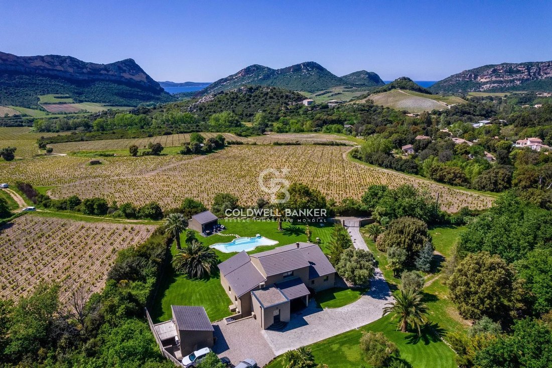 House in Barbaggio, Corsica, France 1 - 18156511
