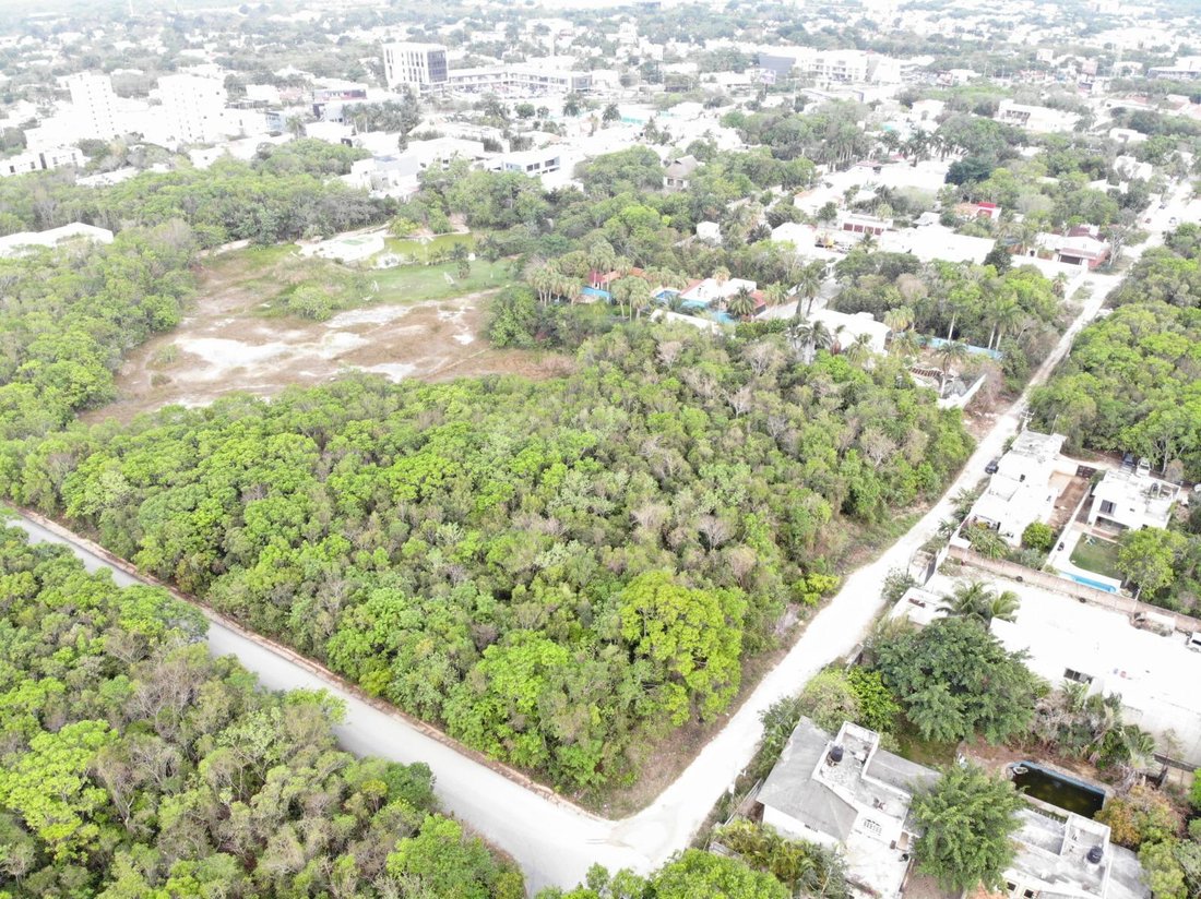 Land in Cancún, Quintana Roo, Mexico 2 - 18165224