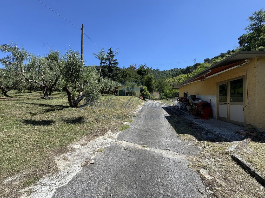 Land in Pietrasanta, Tuscany, Italy 5 - 16391788