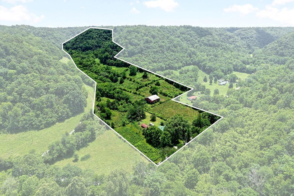 House in Whitleyville, Tennessee, United States 4 - 18159931