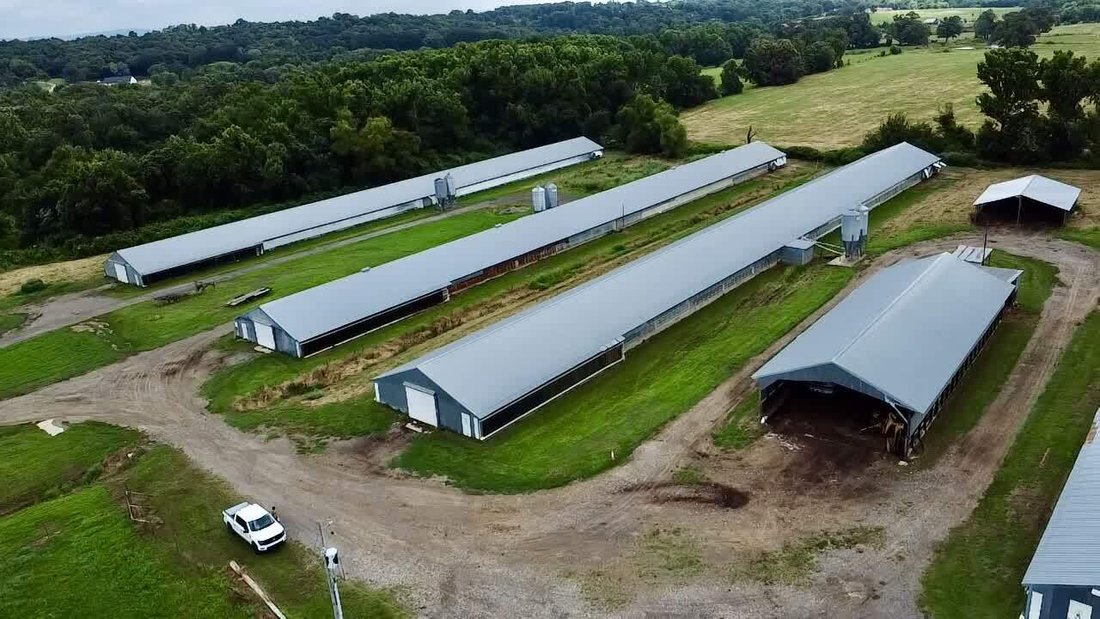 Farm Ranch in Coal Hill, Arkansas, United States 1 - 18154021