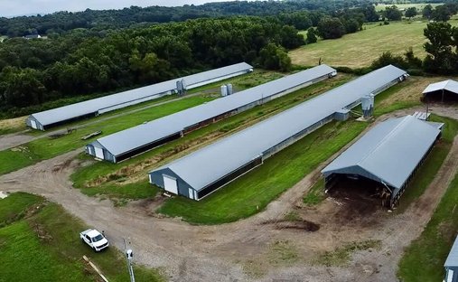 Farm Ranch in Coal Hill, Arkansas, United States 1