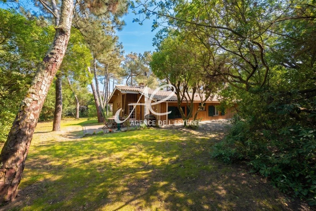 House in 33970 Le Cap-Ferret, Lège-Cap-Ferret, Nouvelle-Aquitaine 2 - 17505608