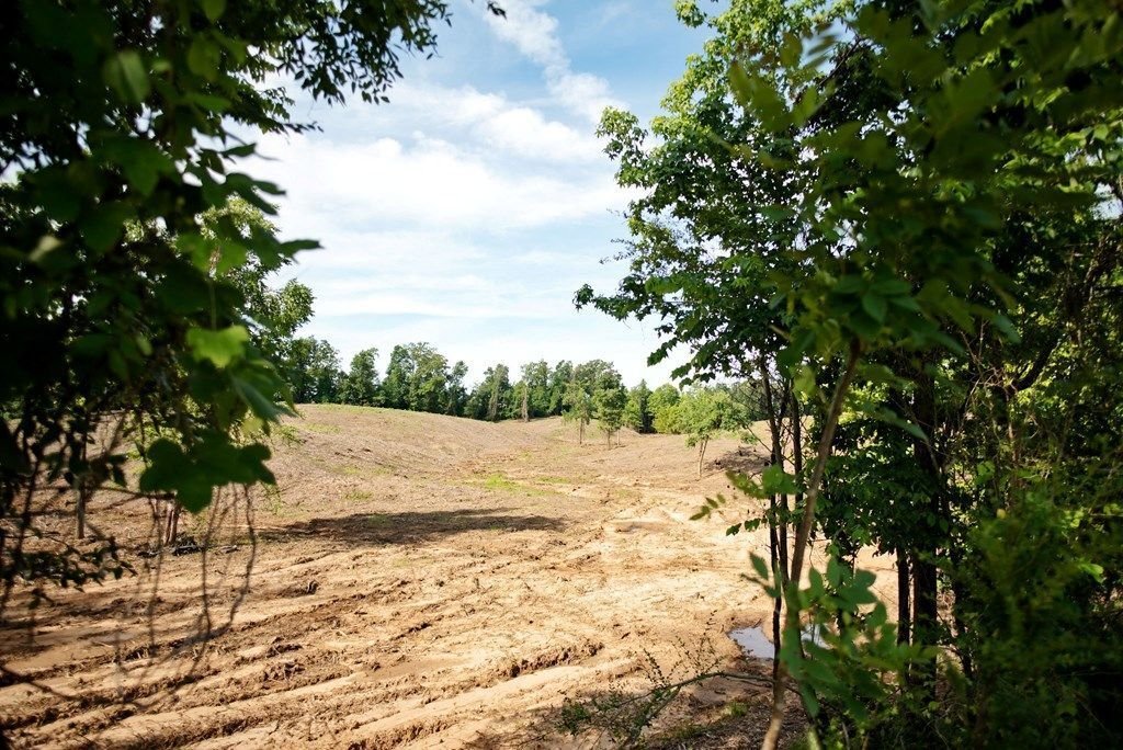 Land in Oxford, Mississippi, United States 5 - 18161801