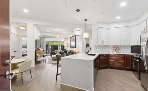 Condo in Atlanta, Georgia, United States 1