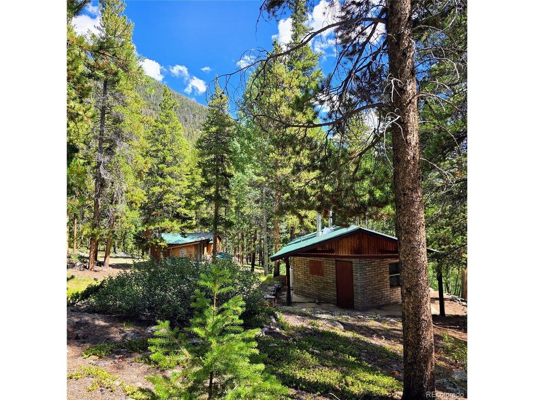House in Buena Vista, Colorado, United States 3 - 18154268