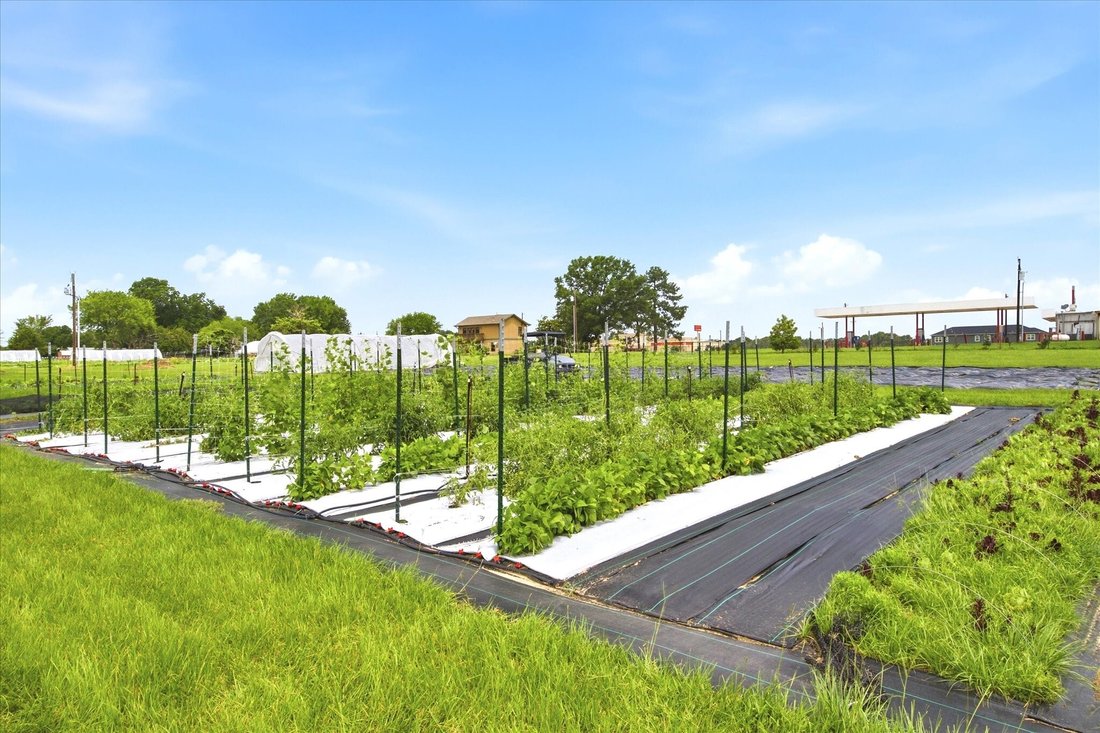 Azienda agricola a Emory, Texas, Stati Uniti 2 - 18160071