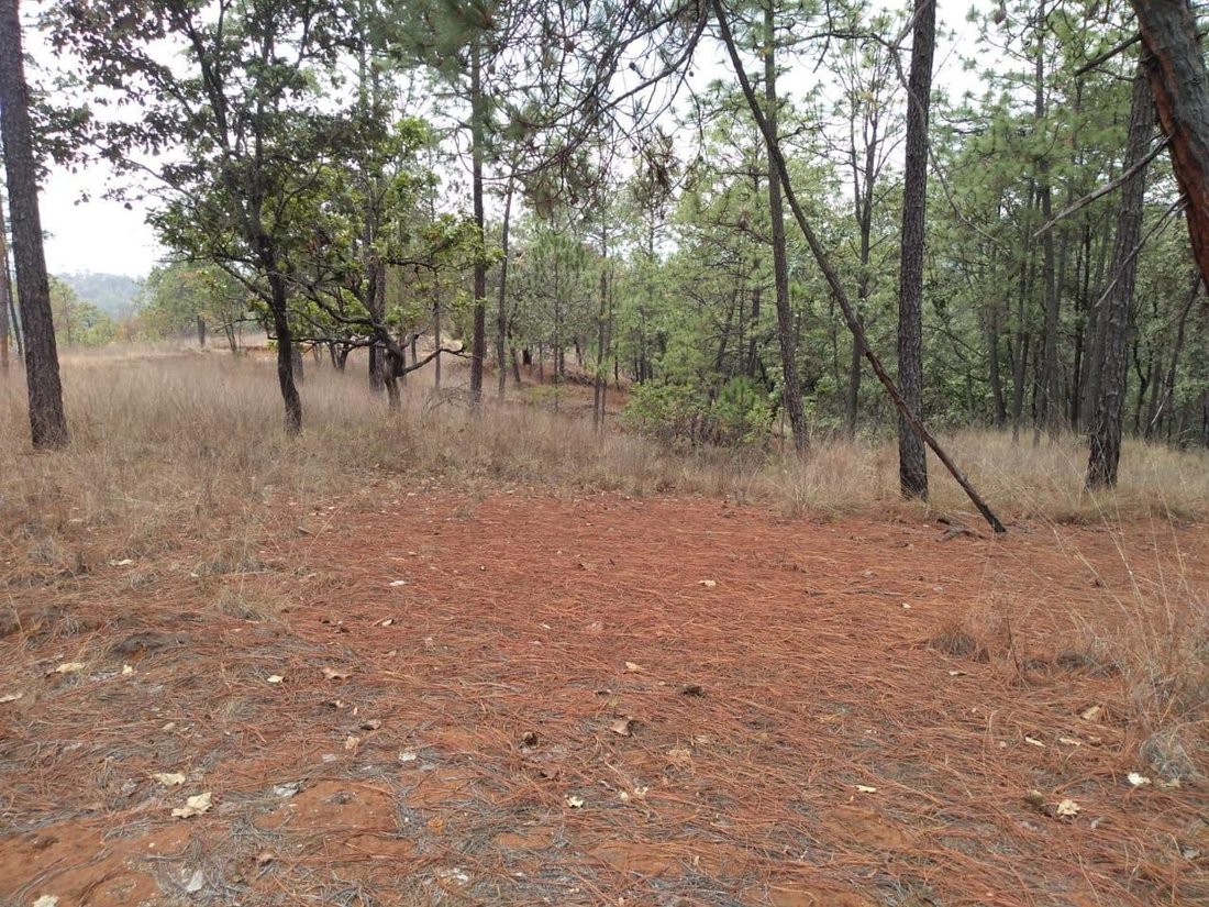 Land in San Lucas del Pulque, State of Mexico, Mexico 1 - 18167520