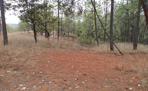 Land in San Lucas del Pulque, State of Mexico, Mexico 1