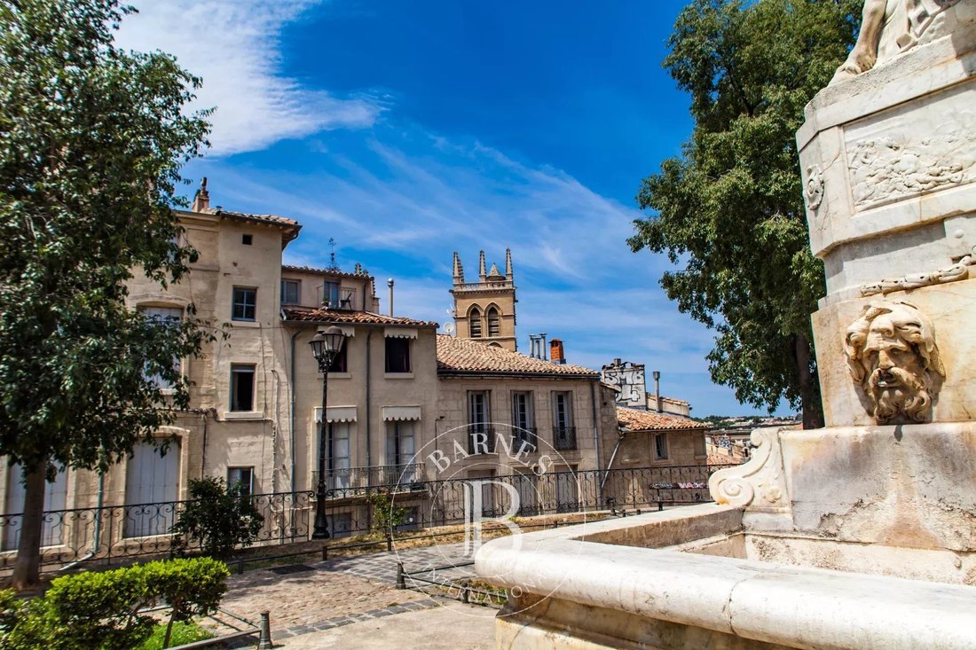 Apartment in Centre Historique, Montpellier, France 4 - 18156408