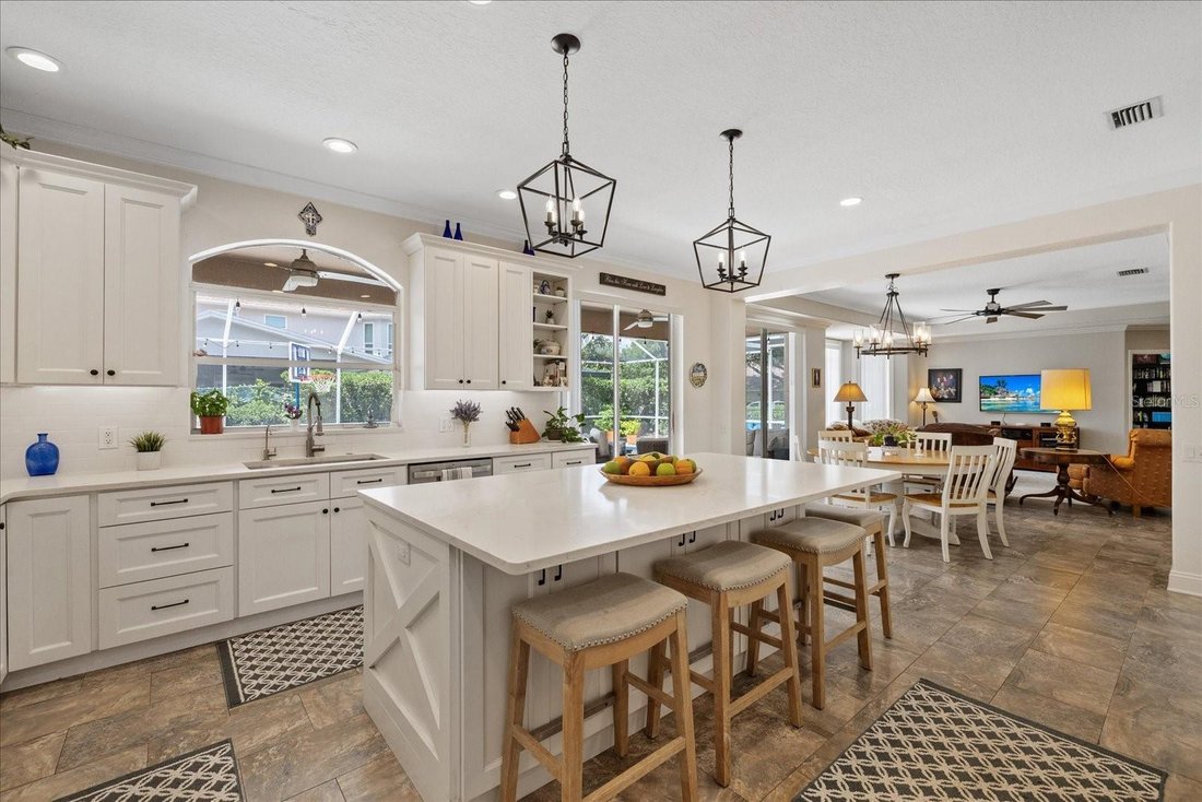 House in Palm Harbor, Florida, United States 3 - 18154909