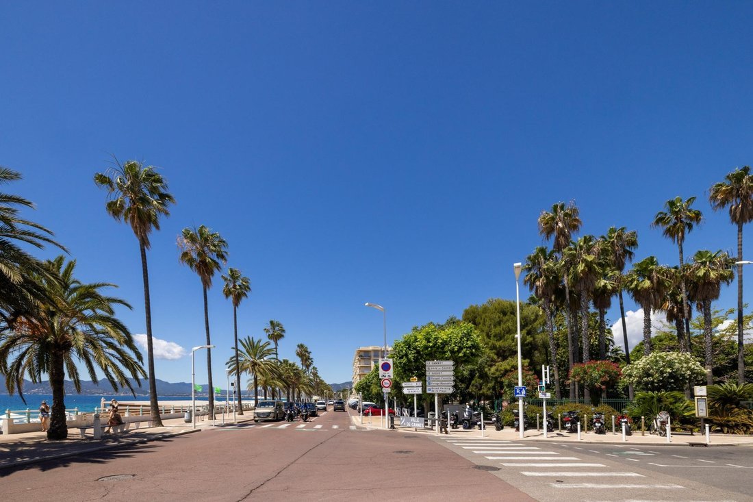 Apartment in Cannes, Provence-Alpes-Côte d'Azur, France 1 - 17295768