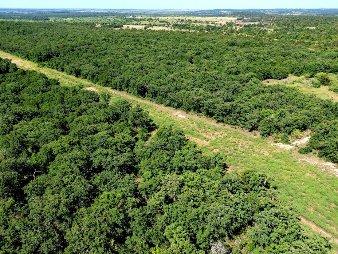 Farm Ranch in Chico, Texas, United States 5 - 18157464
