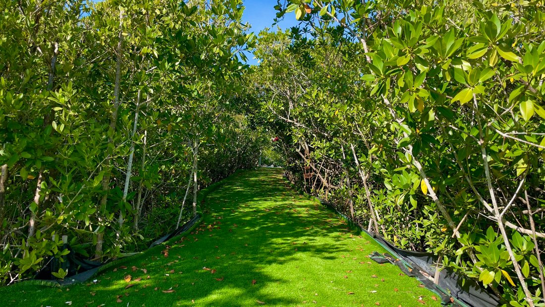 House in Key West, Florida, United States 3 - 18157753