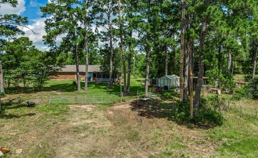 House in Teague, Texas, United States 1
