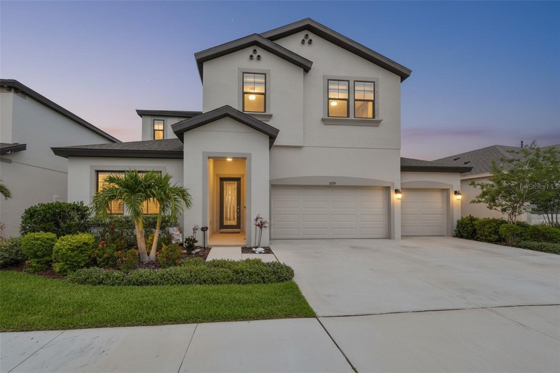 House in Apollo Beach, Florida, United States 1 - 18158561