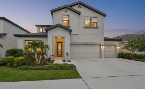 House in Apollo Beach, Florida, United States 1