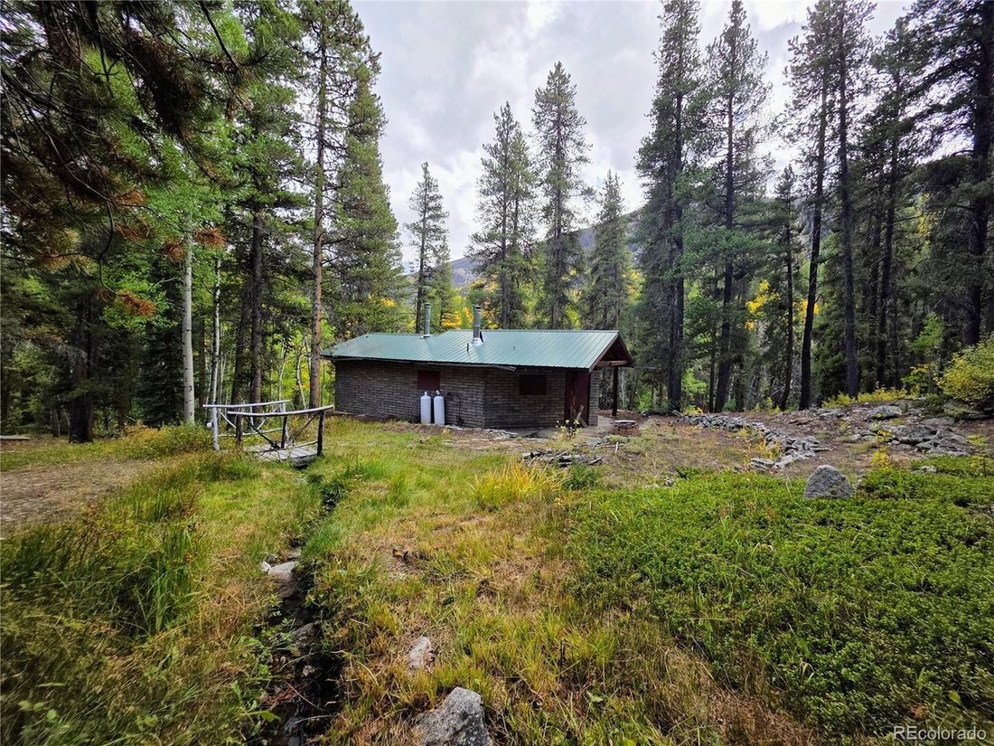 House in Buena Vista, Colorado, United States 1 - 18154268