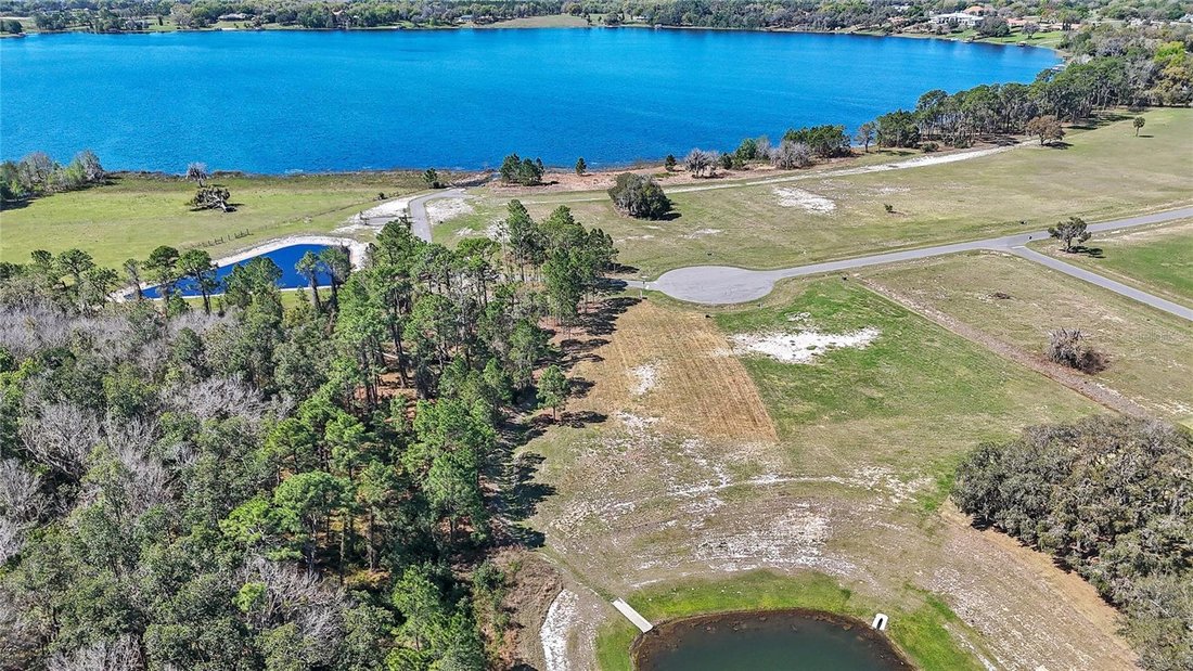 House in Eustis, Florida, United States 4 - 18158580