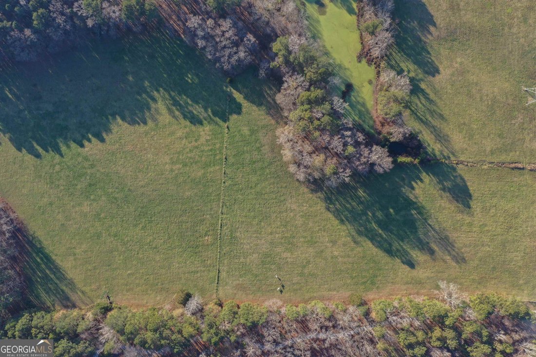 Farm Ranch in Fayetteville, Georgia, United States 4 - 18167178