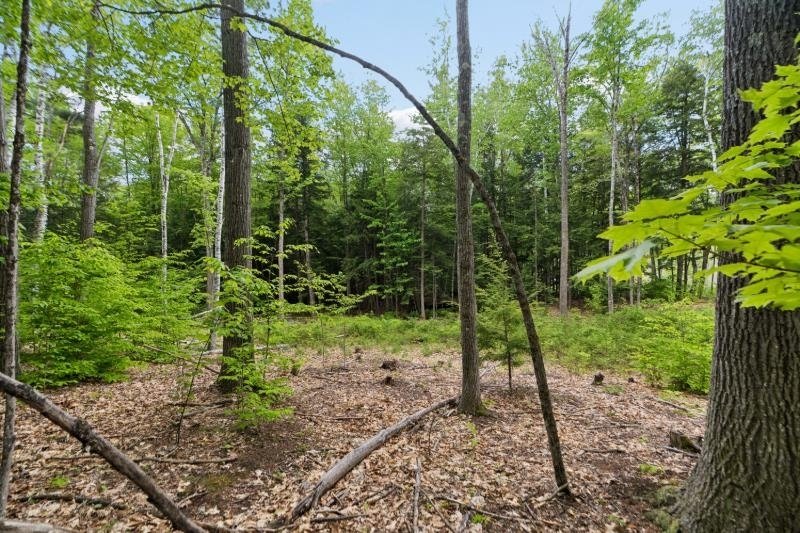 Land in Canaan, New Hampshire, United States 5 - 18159966