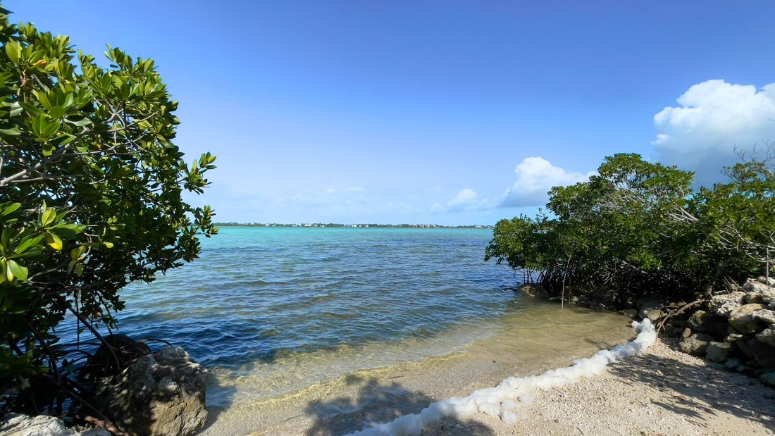 House in Key West, Florida, United States 4 - 18157753