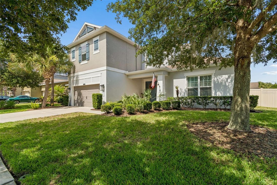 House in Land O' Lakes, Florida, United States 3 - 18155304