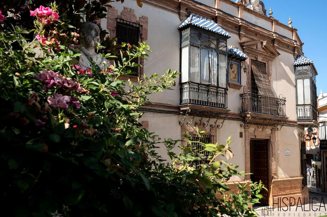 Villa in Baena, Andalusia, Spain 1 - 18155400