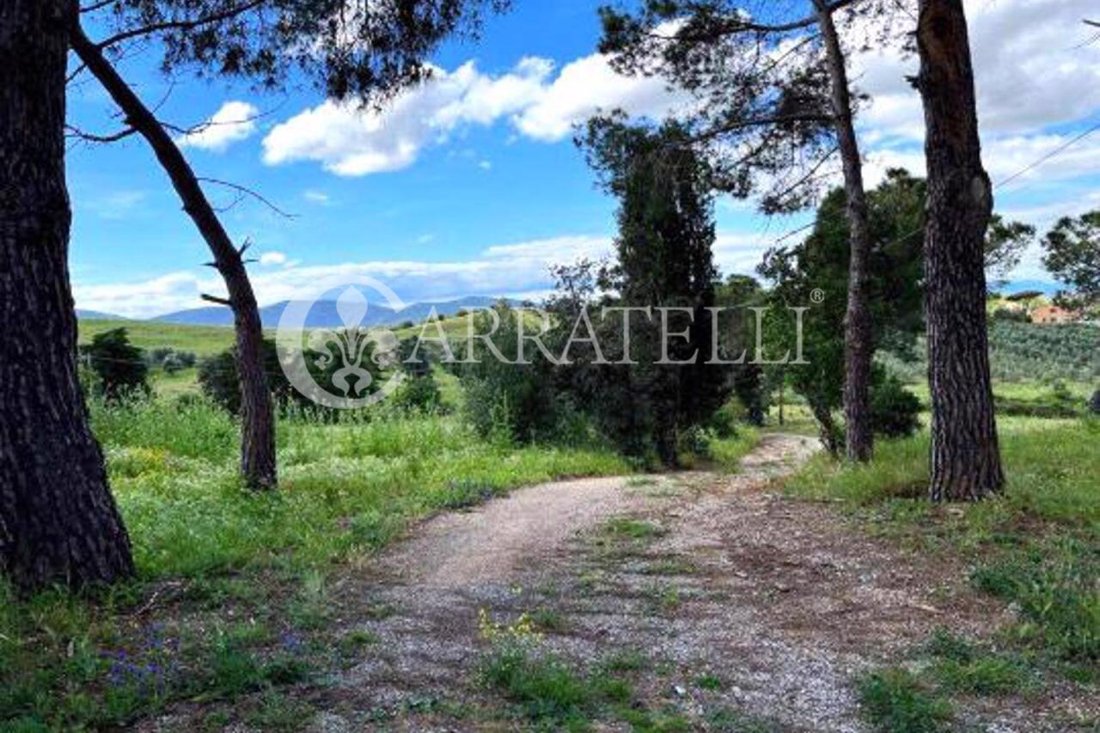 Country House in Magliano in Toscana, Tuscany, Italy 5 - 18158967