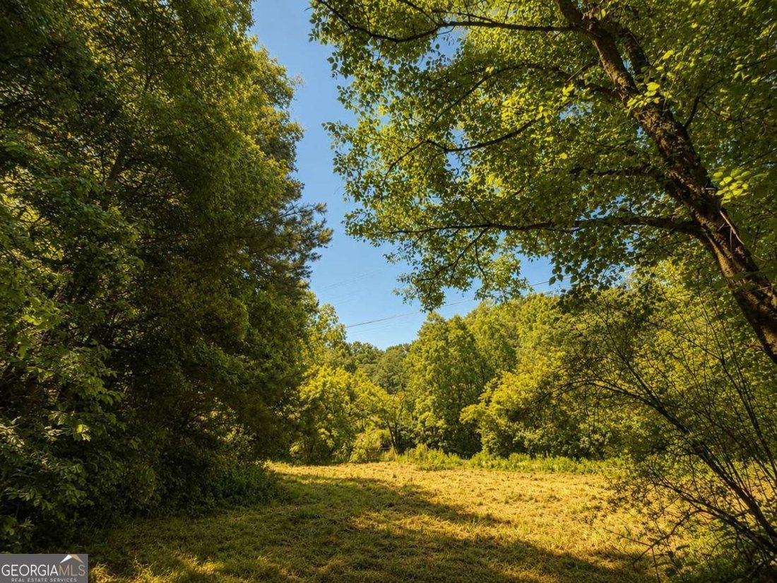 Jasper, Georgia, United States 3 - 18160243
