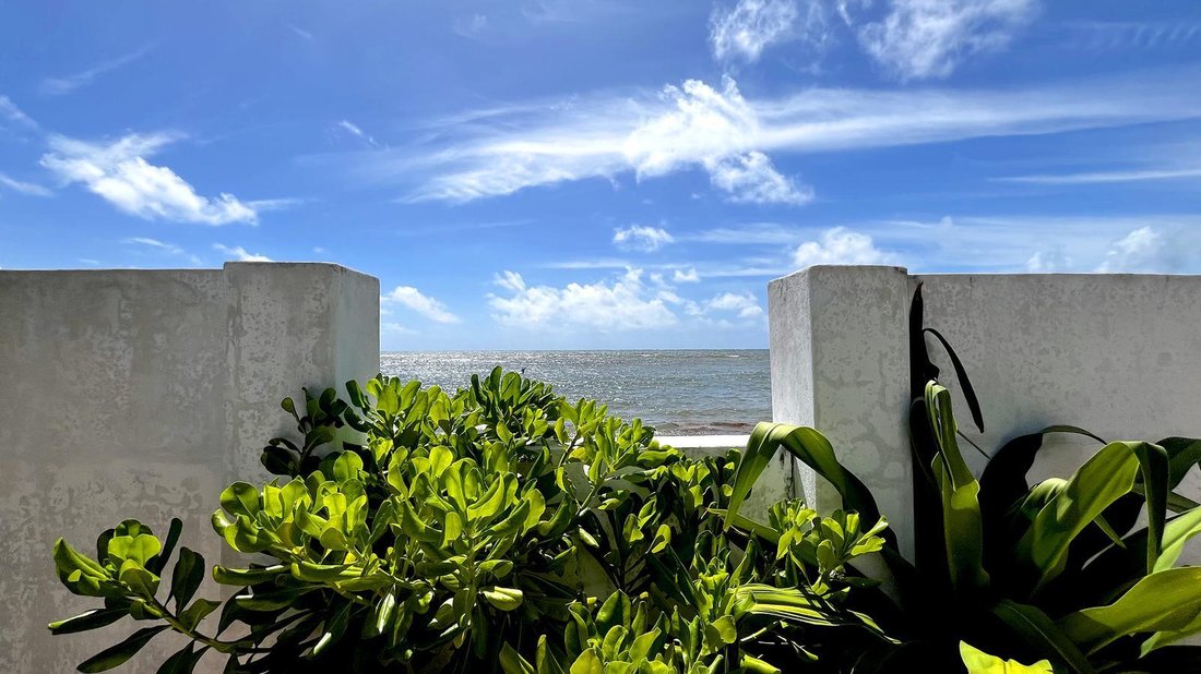House in Puerto Morelos, Quintana Roo, Mexico 3 - 18166322