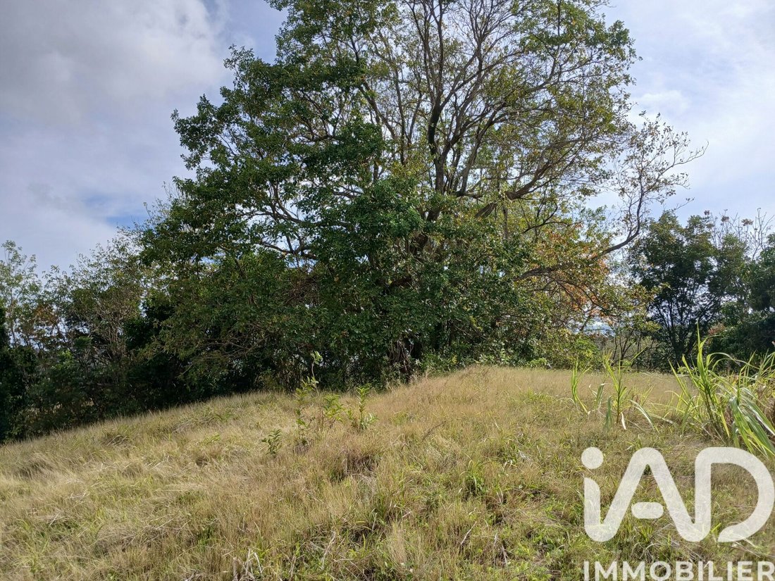 Land in France 5 - 18161309