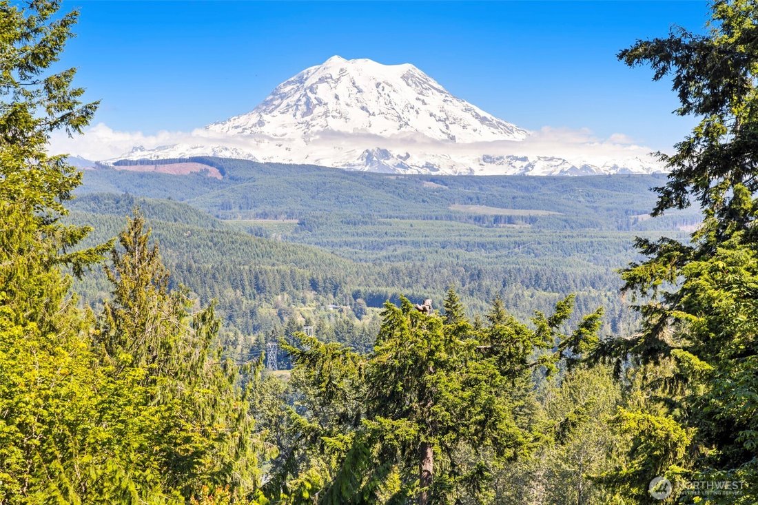 House in Graham, Washington, United States 1 - 18160059