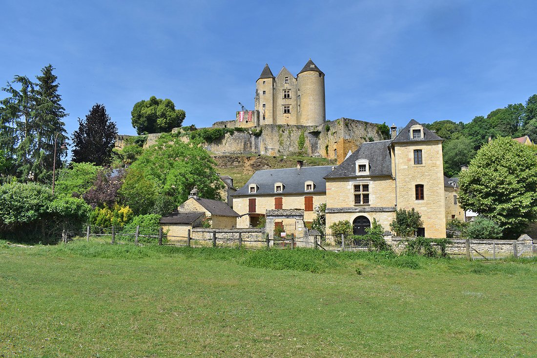 Villa in Salignac-Eyvigues, Nouvelle-Aquitaine, France 1 - 18169019