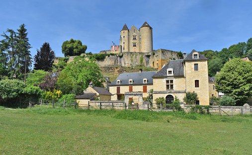 Villa in Salignac-Eyvigues, Nouvelle-Aquitaine, France 1