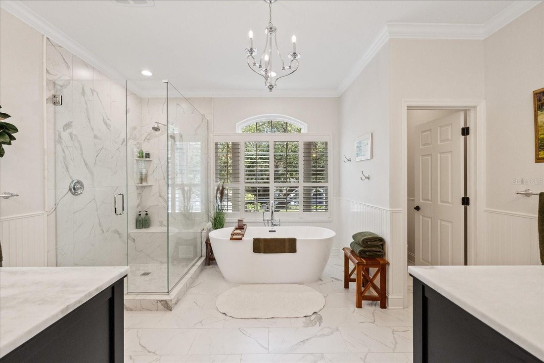 House in Palm Harbor, Florida, United States 4 - 18154909