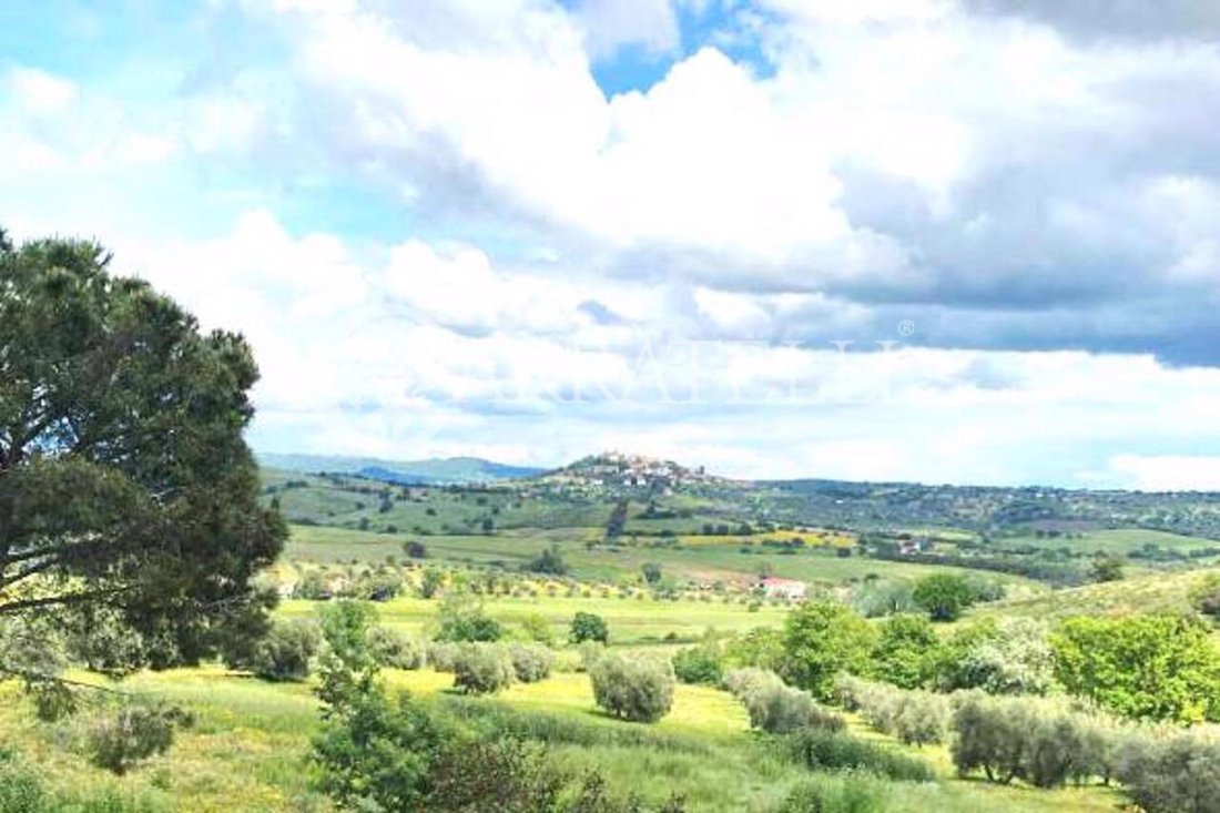 Country House in Magliano in Toscana, Tuscany, Italy 2 - 18158967