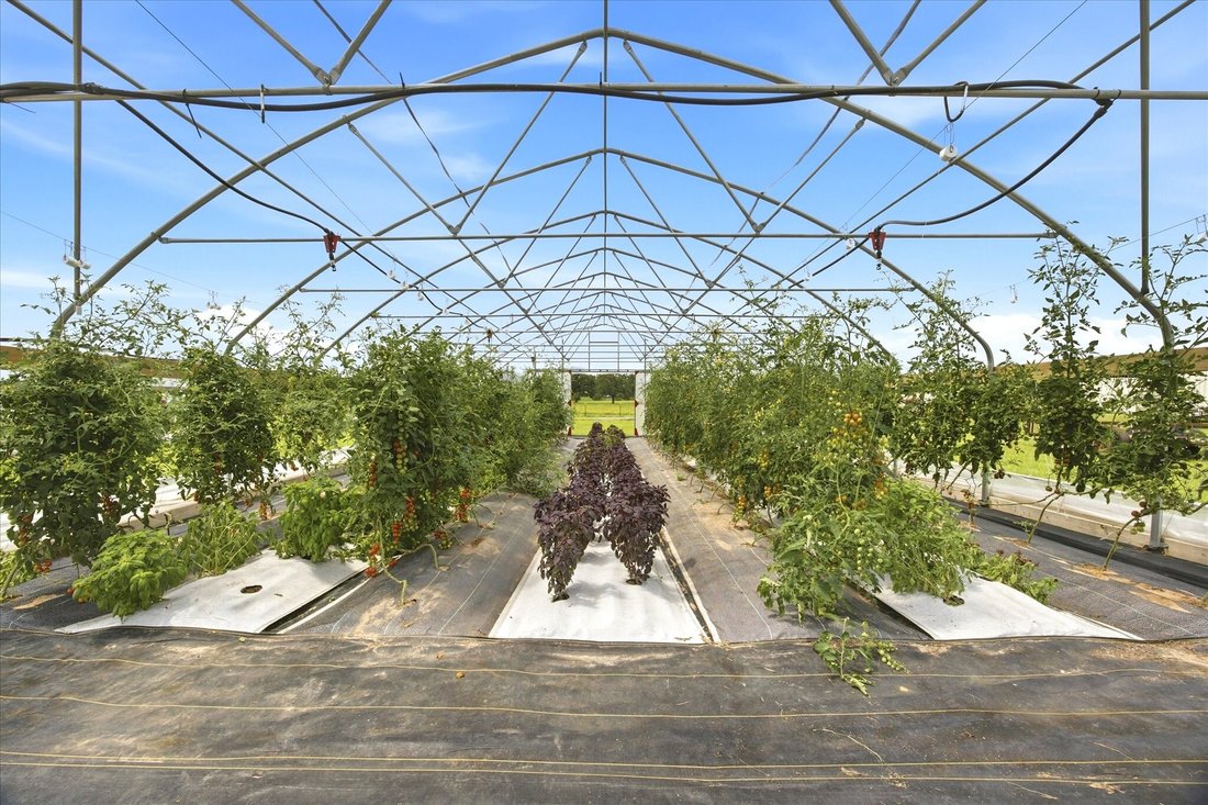 Azienda agricola a Emory, Texas, Stati Uniti 4 - 18160071