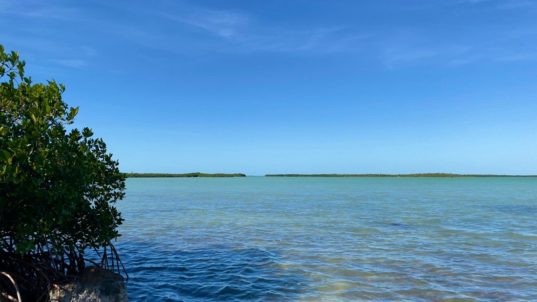 House in Key West, Florida, United States 1 - 18157753