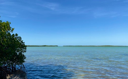 House in Key West, Florida, United States 1