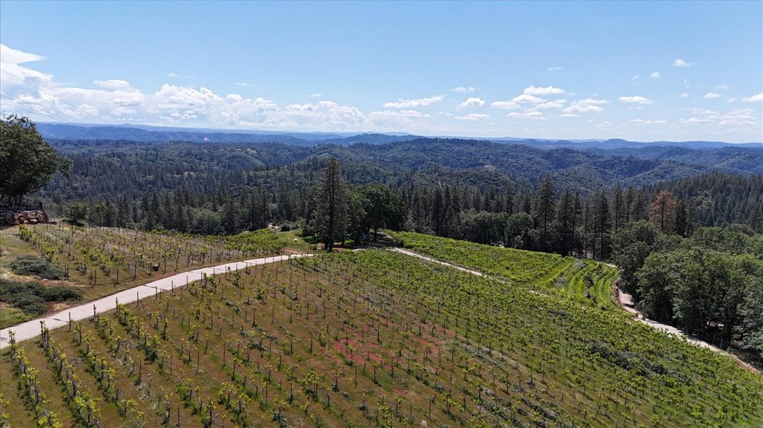 House in Grass Valley, California, United States 1 - 18156378
