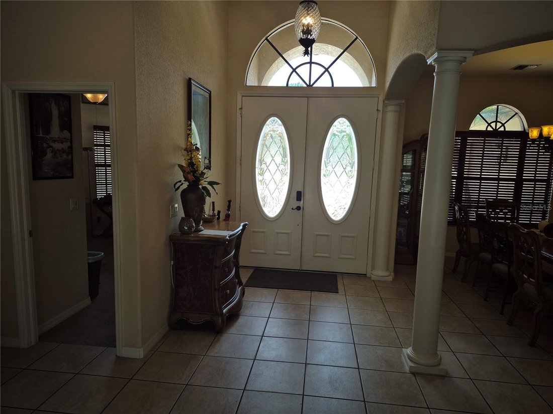 House in Valrico, Florida, United States 5 - 18167163