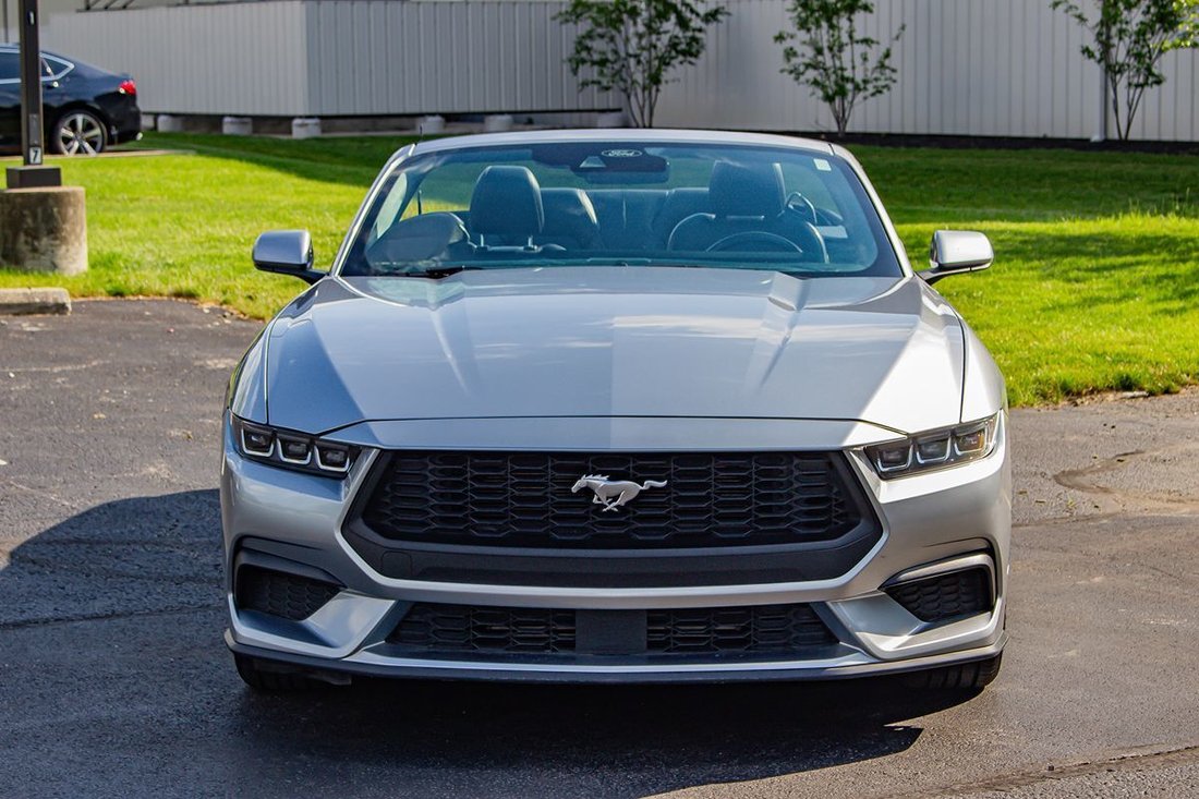 Cabriolet in Fishers, IN, United States 2 - 18168838